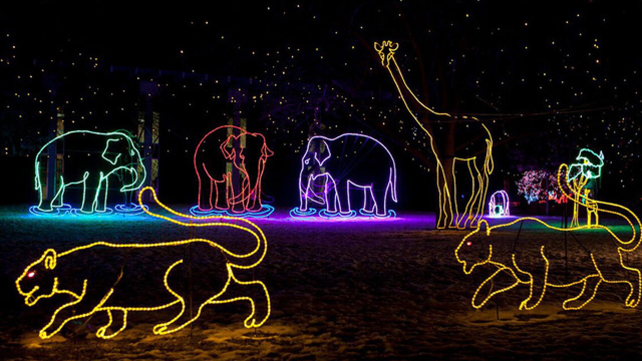 Denver Zoo Lights Tickets 2025 Aggie Sonnie